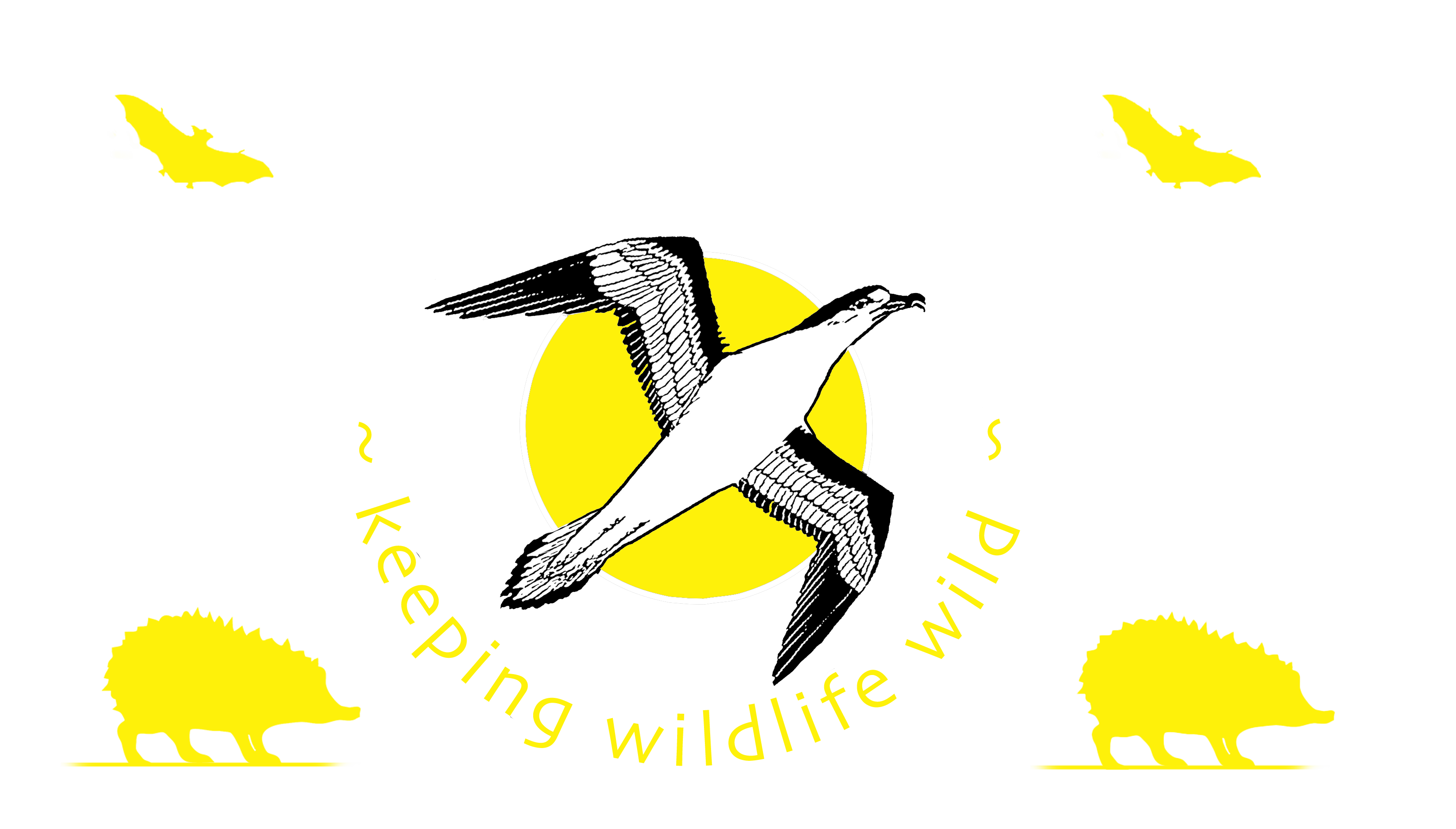 Gower Bird Hopital website is under contruction